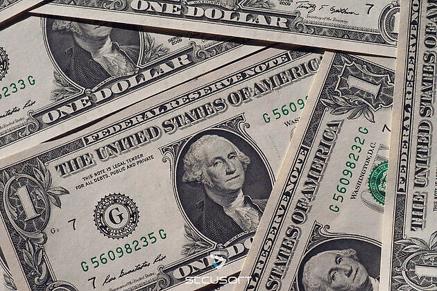 Empleo y tarifa por hora por empleado - Secusoft Software para Seguridad Privada